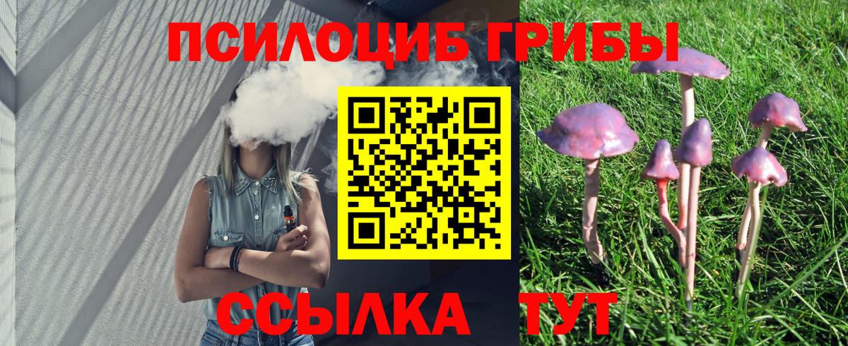 как найти закладки  Вход с VPN  Майский  Псилоцибиновые грибы MAGIC MUSHROOMS  Псилоцибиновые грибы мухоморы 