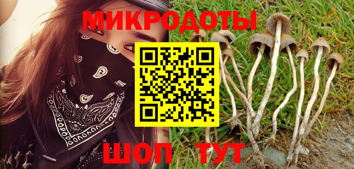 Псилоцибиновые грибы Magic Shrooms Майский